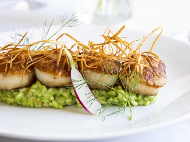 seared scallops