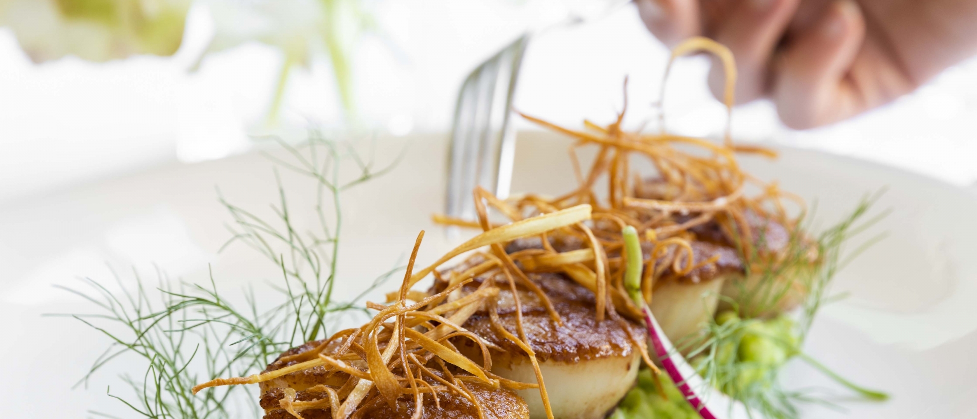 guest eating a seared scallop appetizer