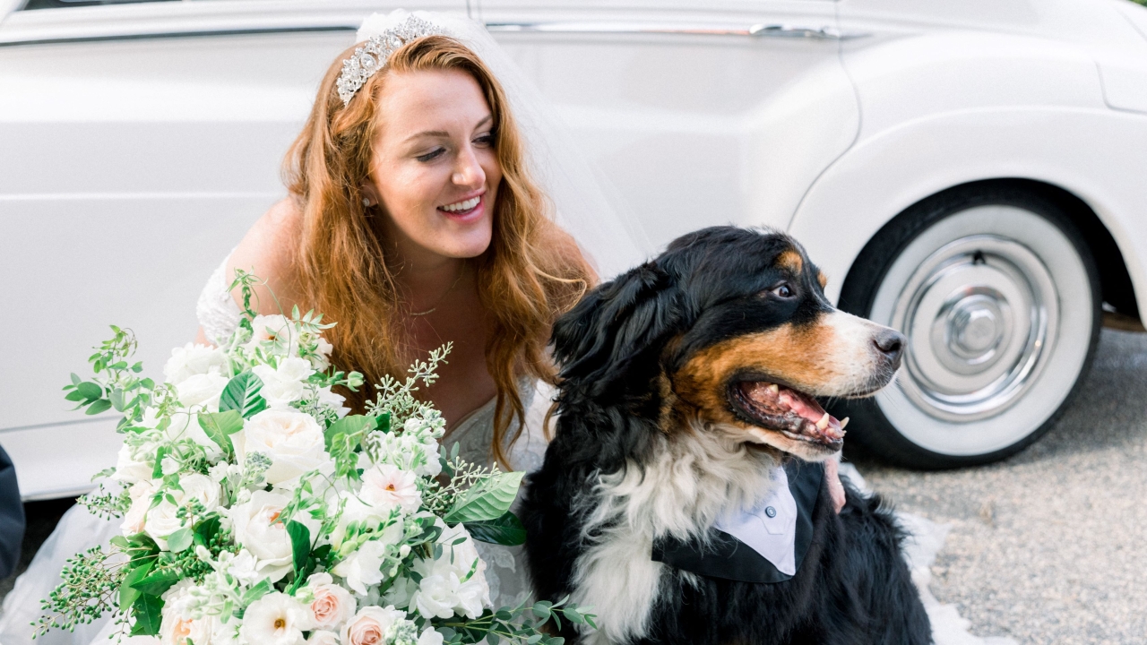 bride and dog