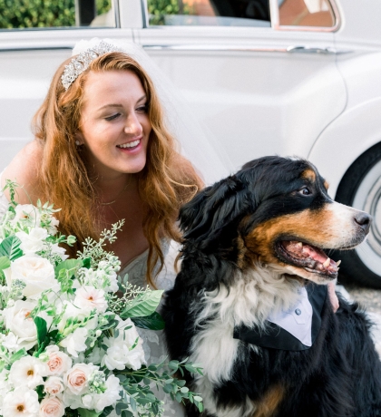 bride and dog