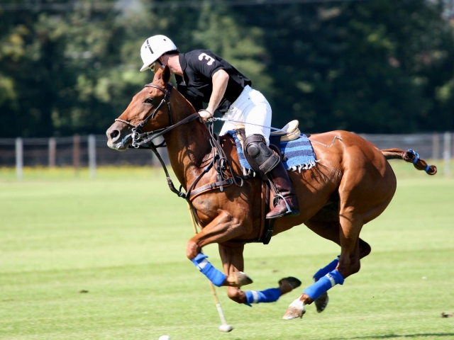 A man riding a horse and playing polo.