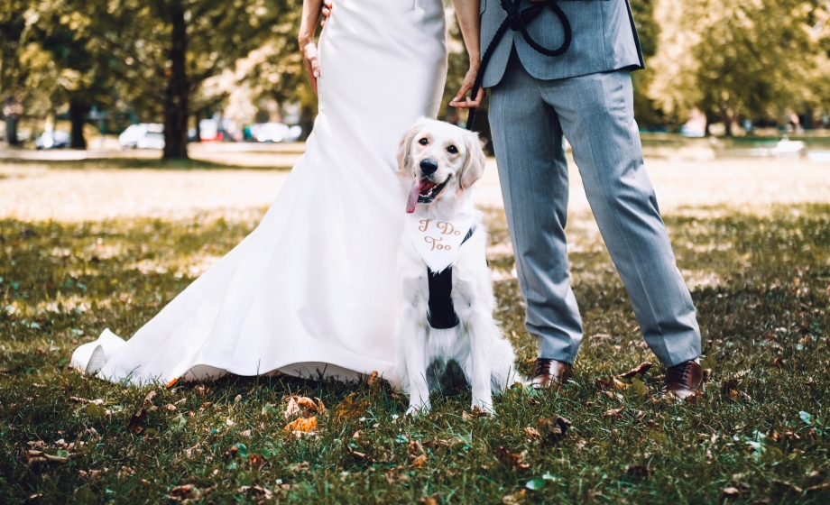 A dog sits in between a bride and groom for a photo.