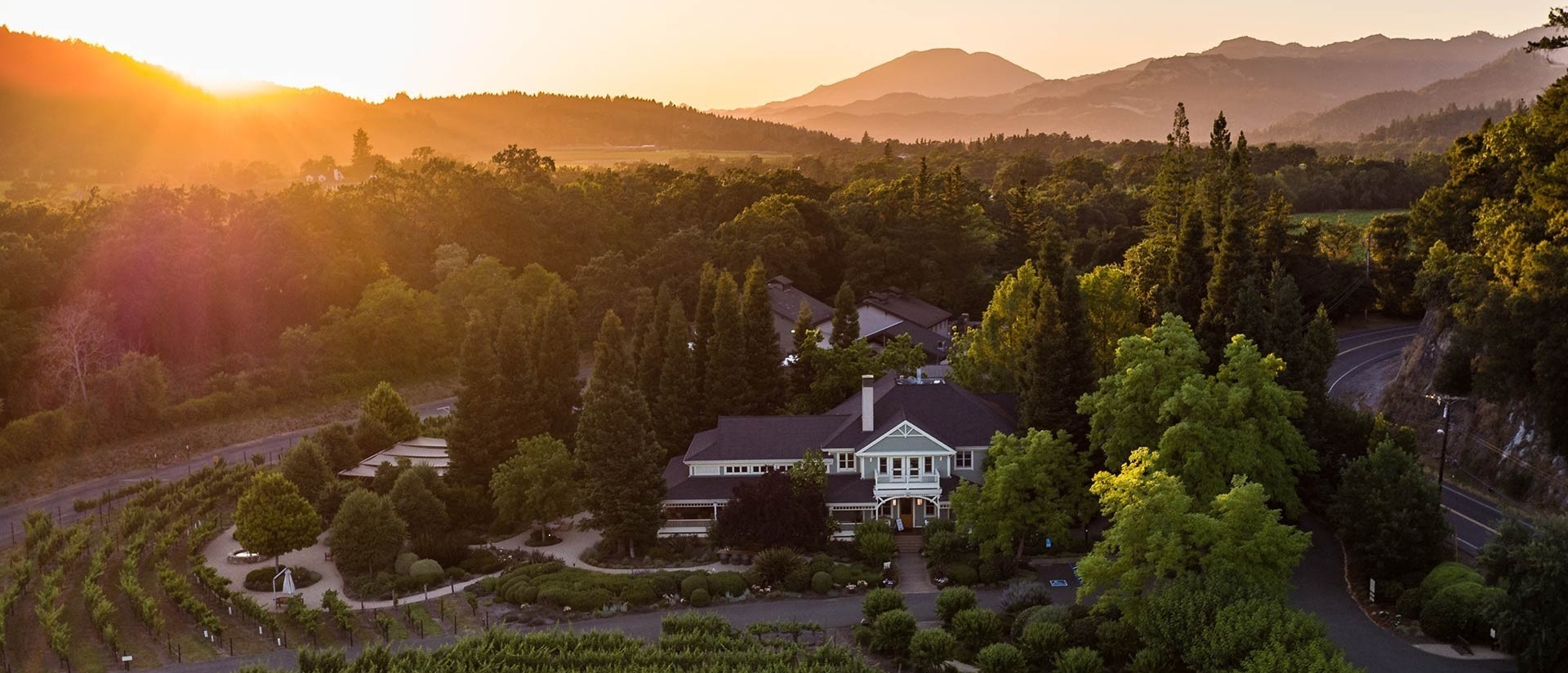 building surrounded by trees