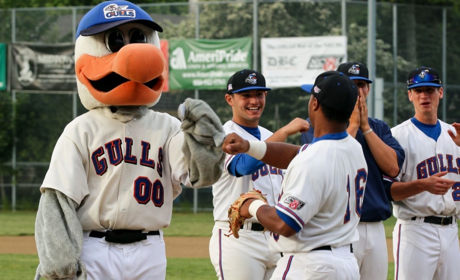 Newport Gulls baseball