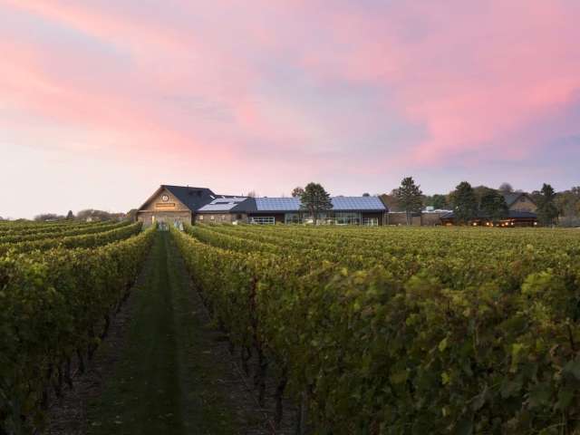 Newport Vineyards