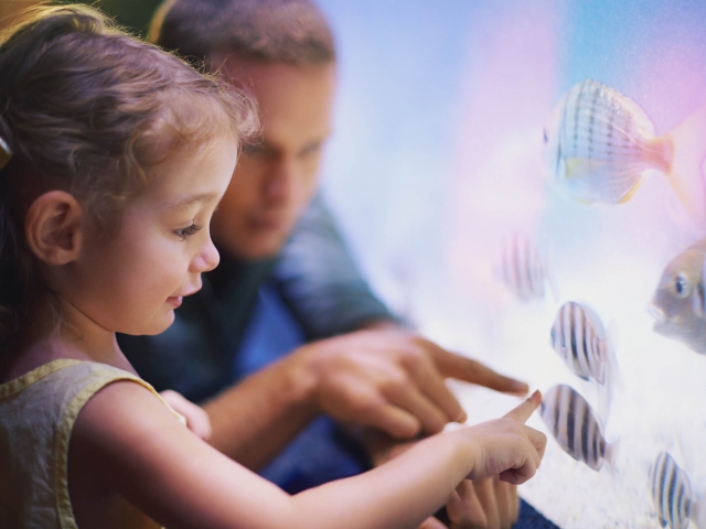 Children at an aquarium, pointing at fish in a tank