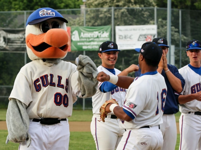 Newport Gulls baseball